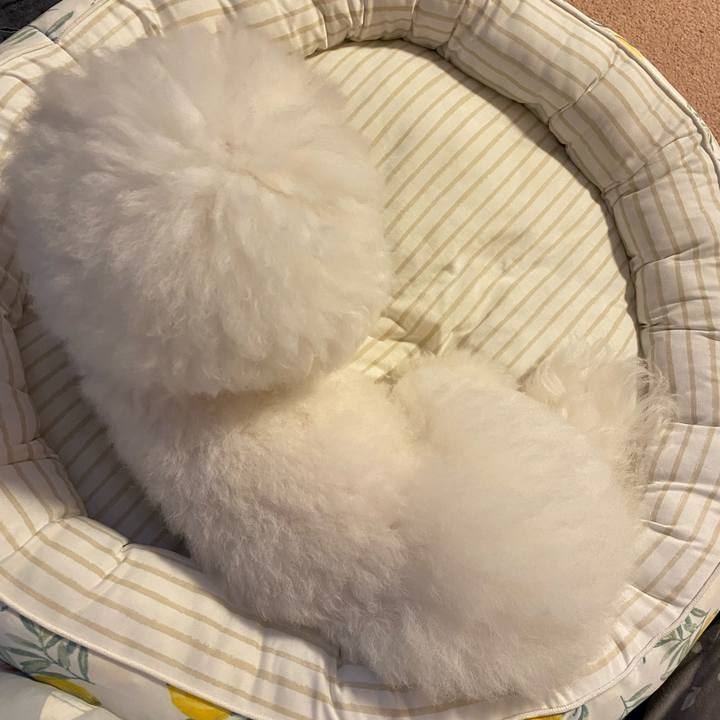 D36c109f 02c1 4210 946e cd9dea2245e9 1629273158335