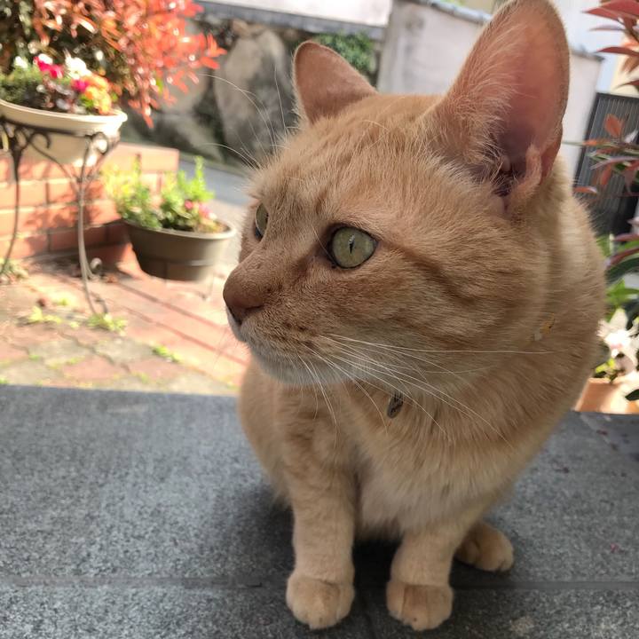 D36c44a2 1893 4815 a164 0d8846af4de6 1522224395699