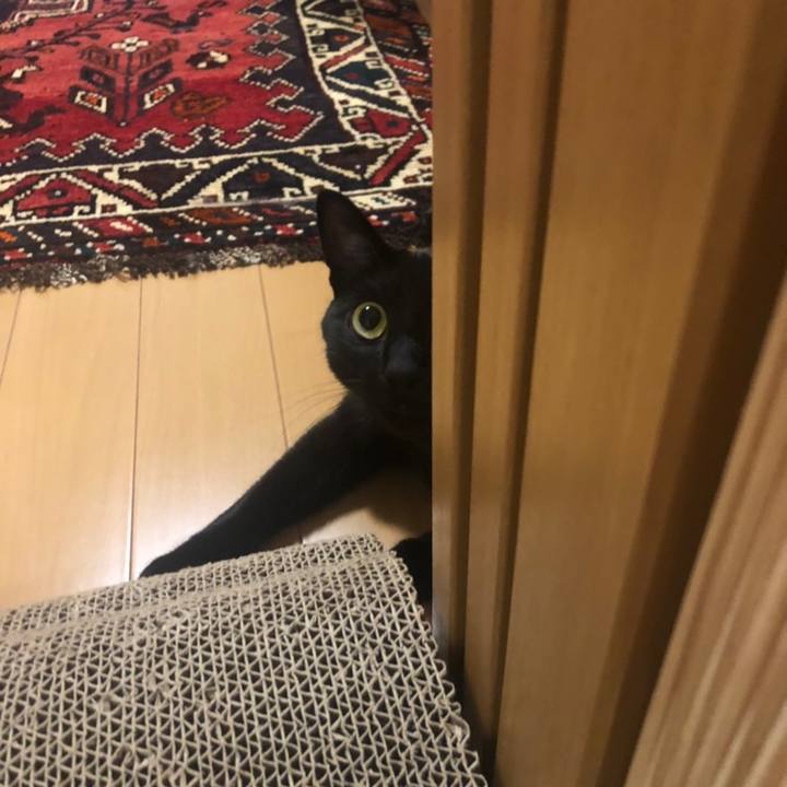 D36c6db9 6f7e 4e55 8bf8 ebda4a183922 1558699457969