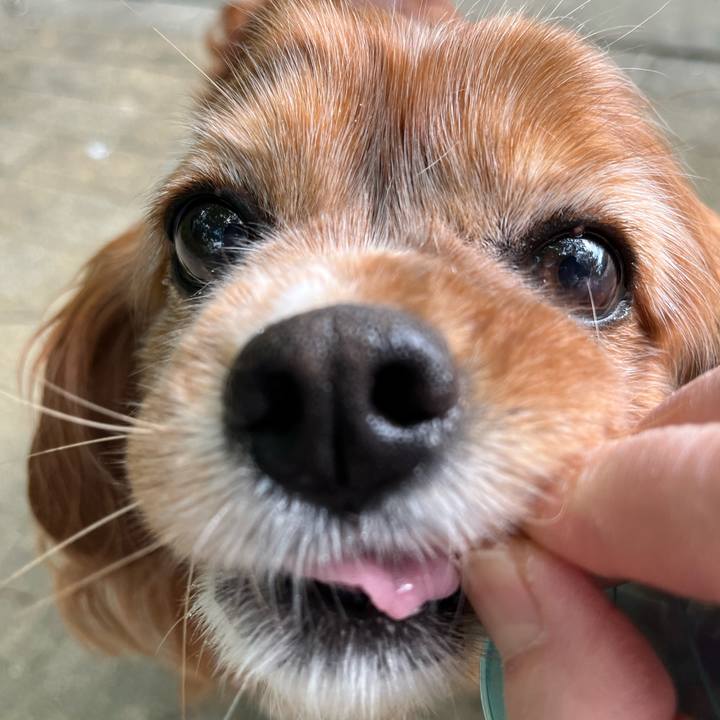 D36cd198 a3cd 4557 9c8c ae0197d59f71 1748735022861