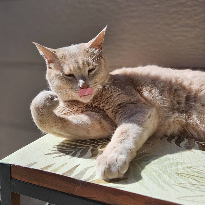 D36d01a3 7668 47ed 8678 9f213fe50ea0 1757897196379