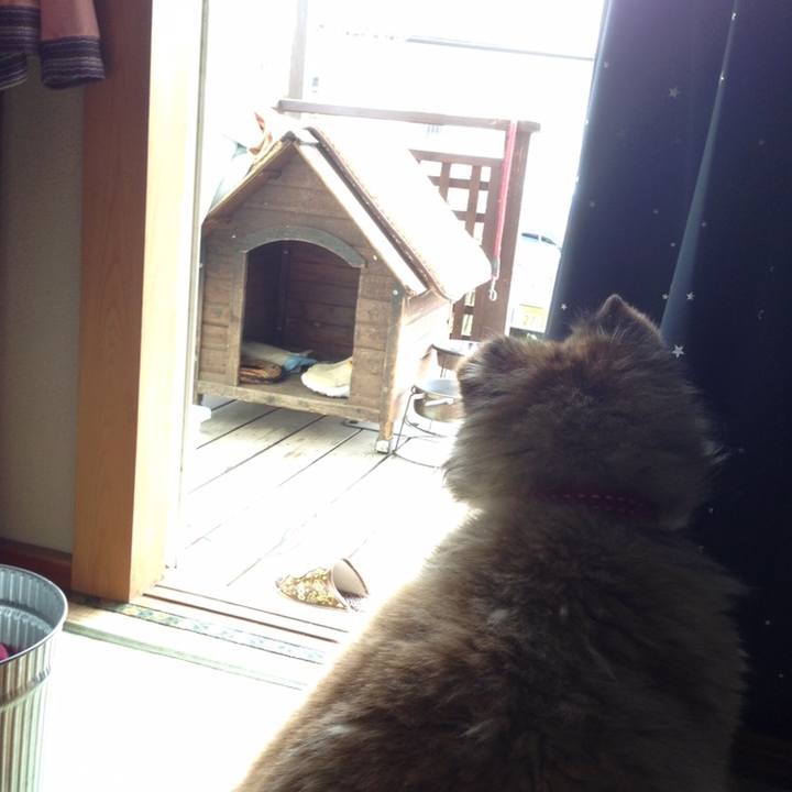 D36d164f b547 4549 b593 db72958ba96f 1554252433352