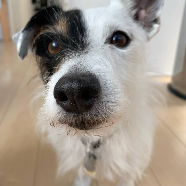 D36d17bd cafb 4697 a530 d22f74ce268a 1715387365405