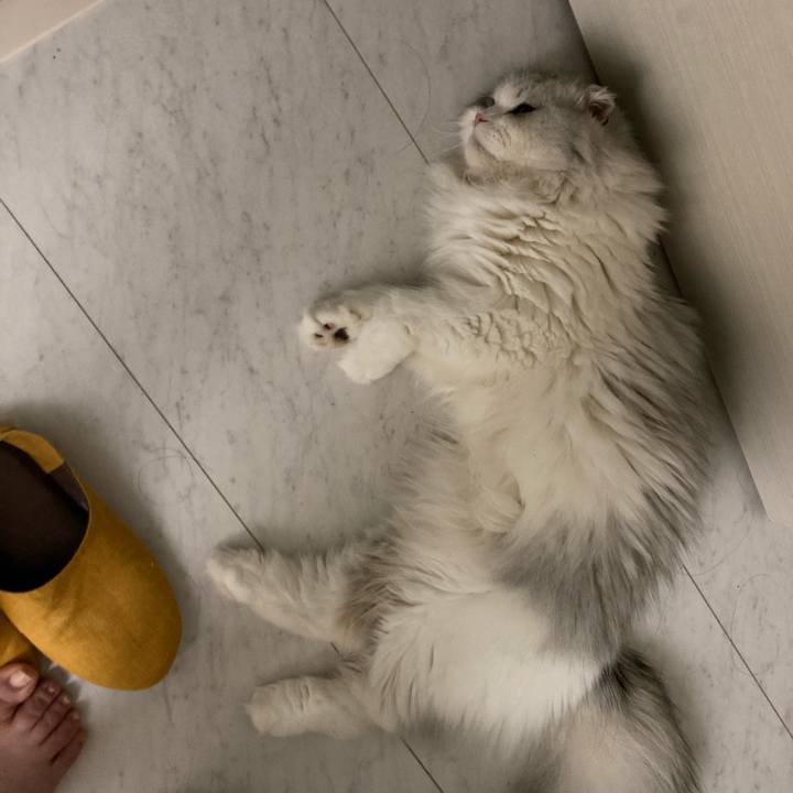 D36d20af 4e71 40ad ba06 55e8ad6859f6 1627172158482