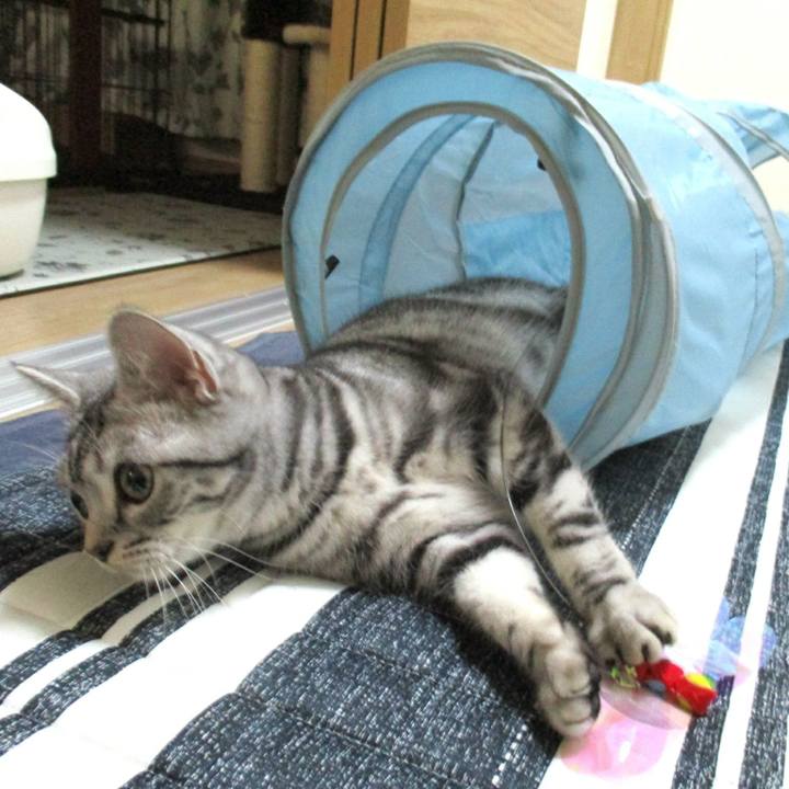 D36d2373 4611 49a0 bfad 558ada751283 1546167831377