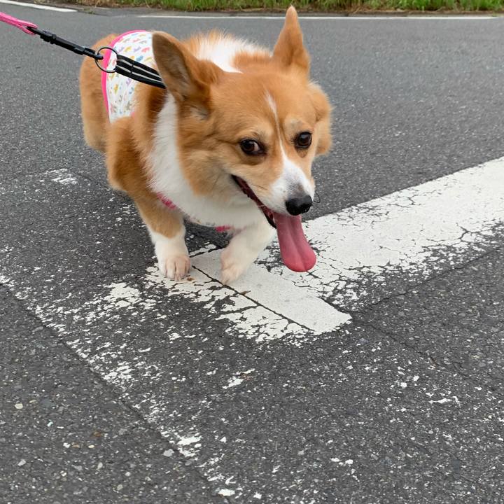 D36d2549 df12 4012 ad89 c4ee3b87c86e 1591911168384