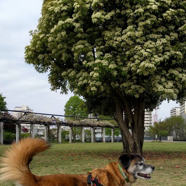 D36d2f58 53f9 4817 a997 17dc6406a8ab 1555978247560