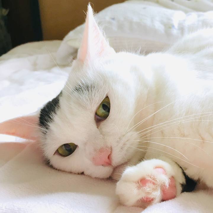 D36d5f84 1831 46eb beb4 e452e67169e9 1567220462081