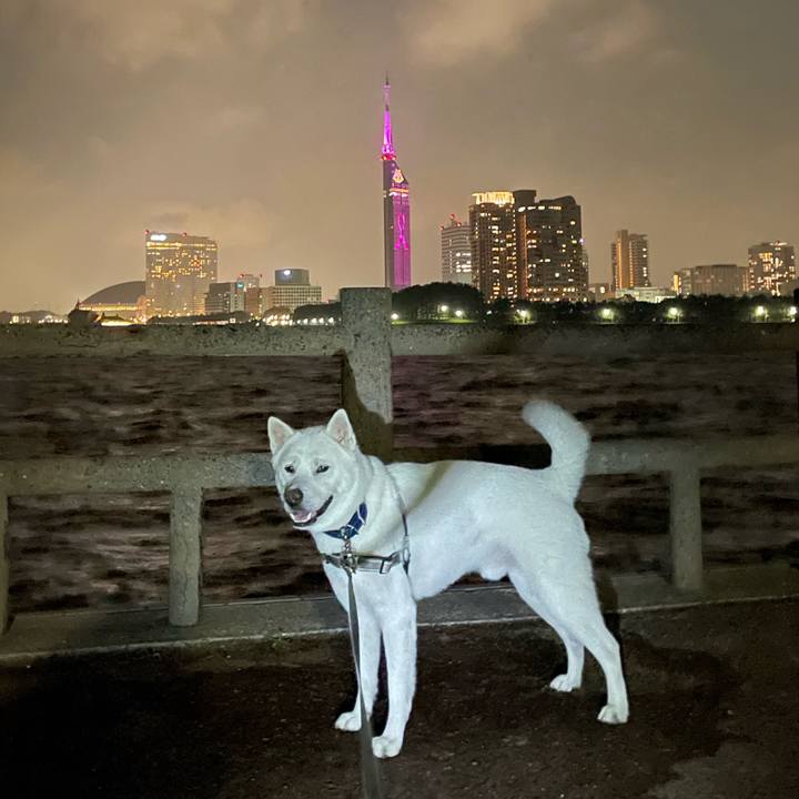 D36d6ebd 4f19 4410 bb0f ace1d764ca96 1654947907319