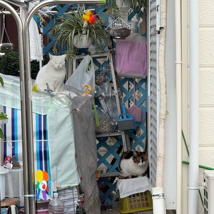 D36d7d6e a1fb 43f7 9c01 258c7e393106 1763859927173