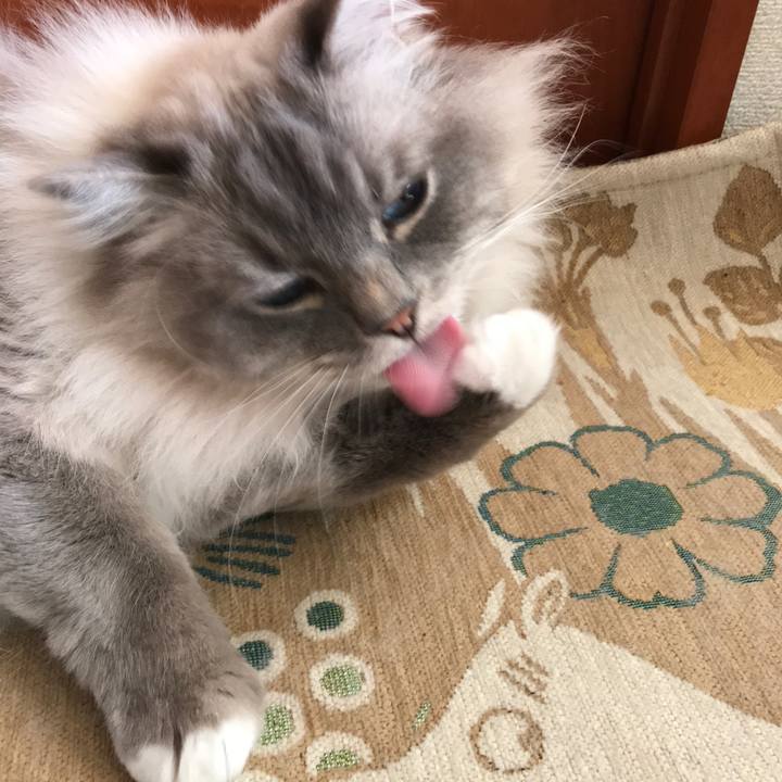 D36d9e95 01dd 4e11 b0aa bb468c65d2e8 1518672680072