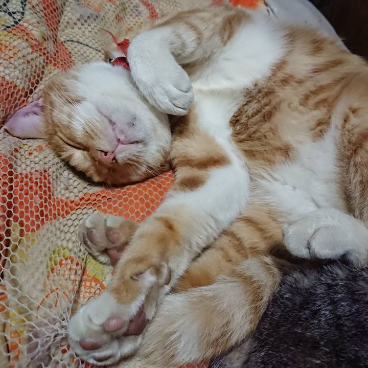 D36dc26e 775c 4a68 b665 a7f20ae48e2a 1571402932499