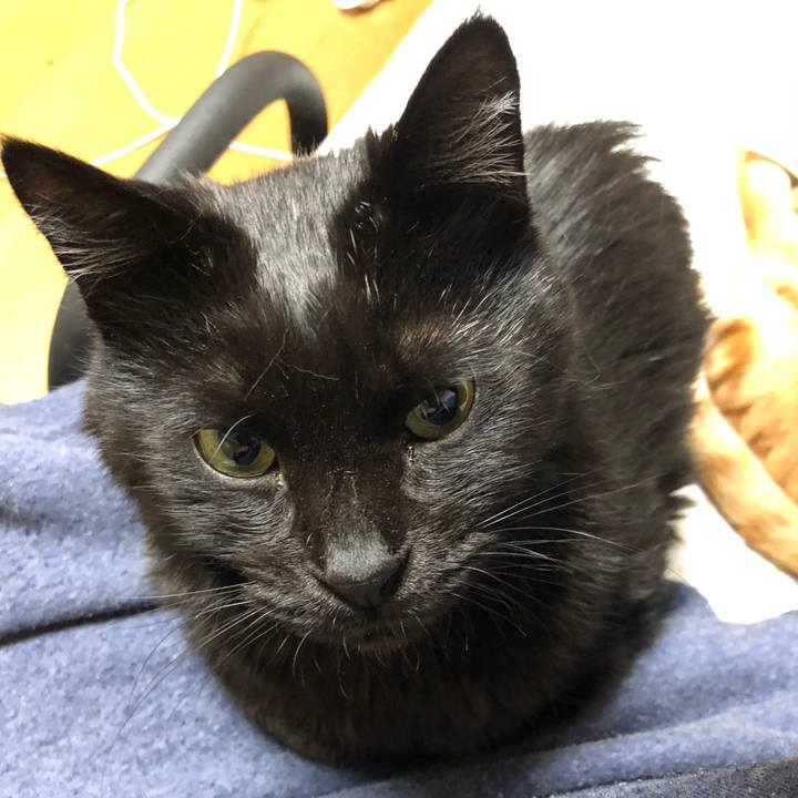 D36dcf2d f2d0 4341 bdae 5d467eacaae2 1616750944186