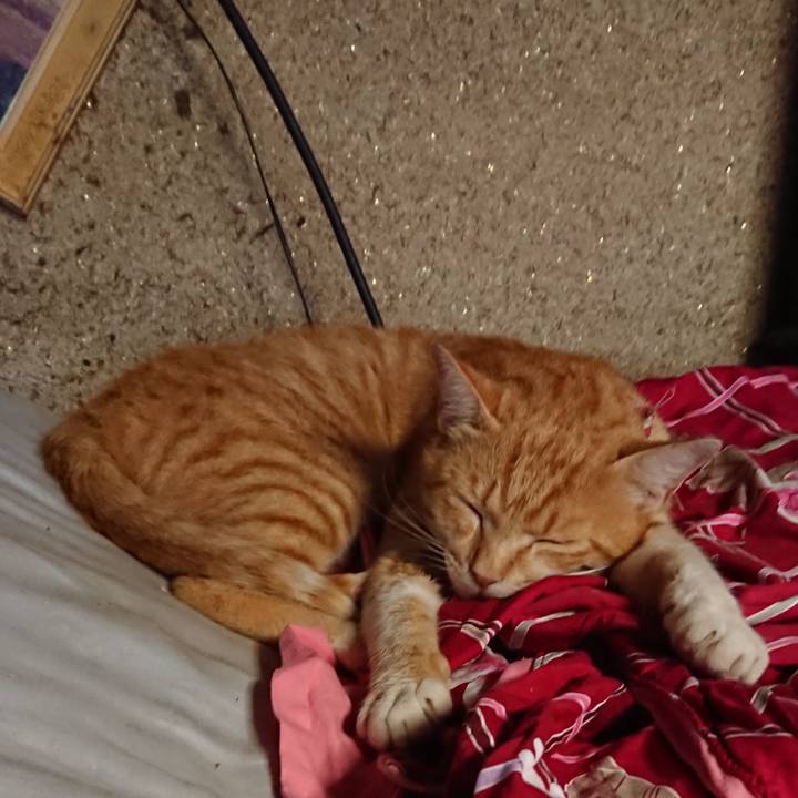 D36dd90f 58d7 4fde 8ff6 fc119cc012ea 1561868879678