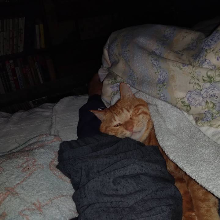 D36dd9d1 3807 4df3 adb0 67c61c22ab2b 1665095973615