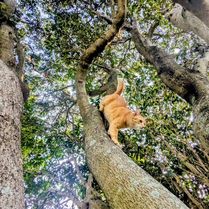 D36ddaf0 ef6c 45c1 a876 c3d9a032143c 1774882742365