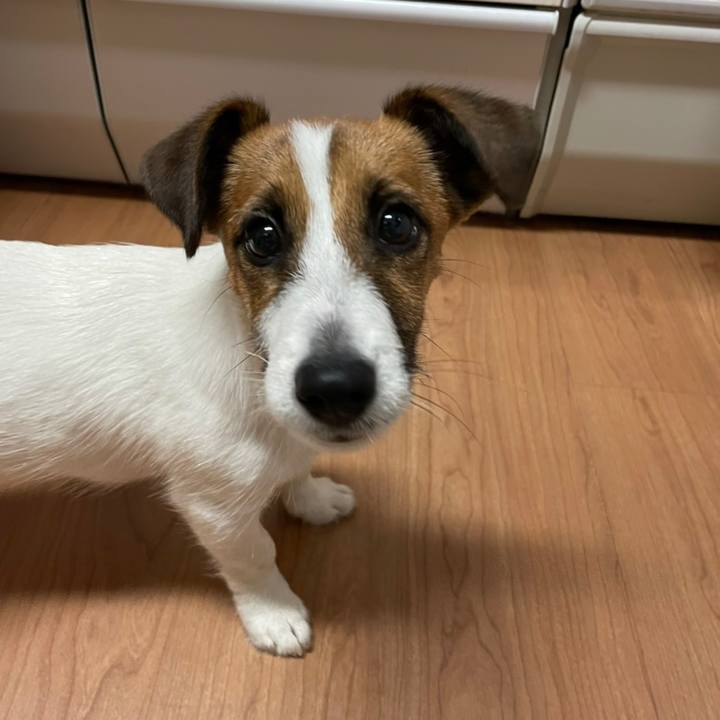 D36e088e d49b 49ce a16f bf528ad5c664 1623718272971