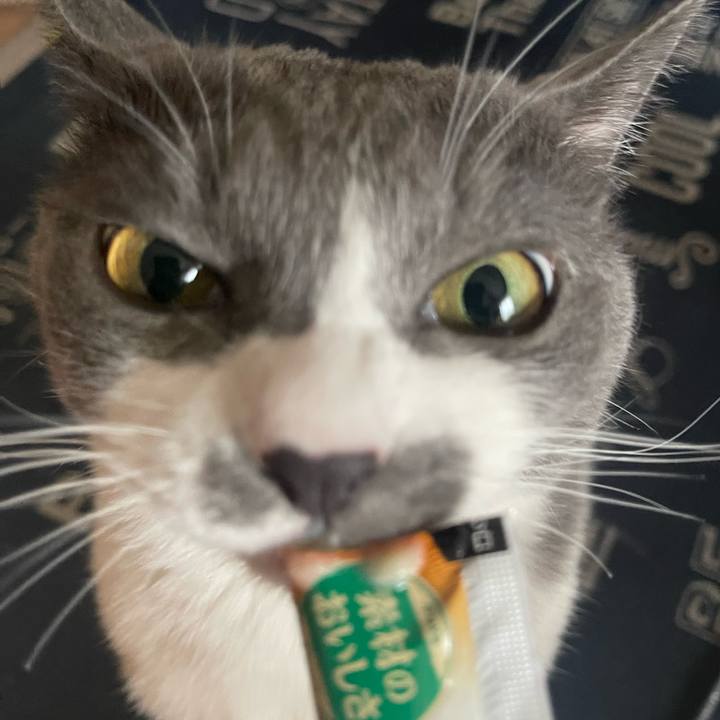 D36e09e3 adf9 4e8d 89fa 0c5699aed2d7 1721376938514