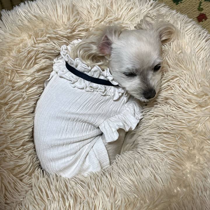 D36e40b3 145e 4977 b4d4 3f4e2f8b0e5f 1683716211536