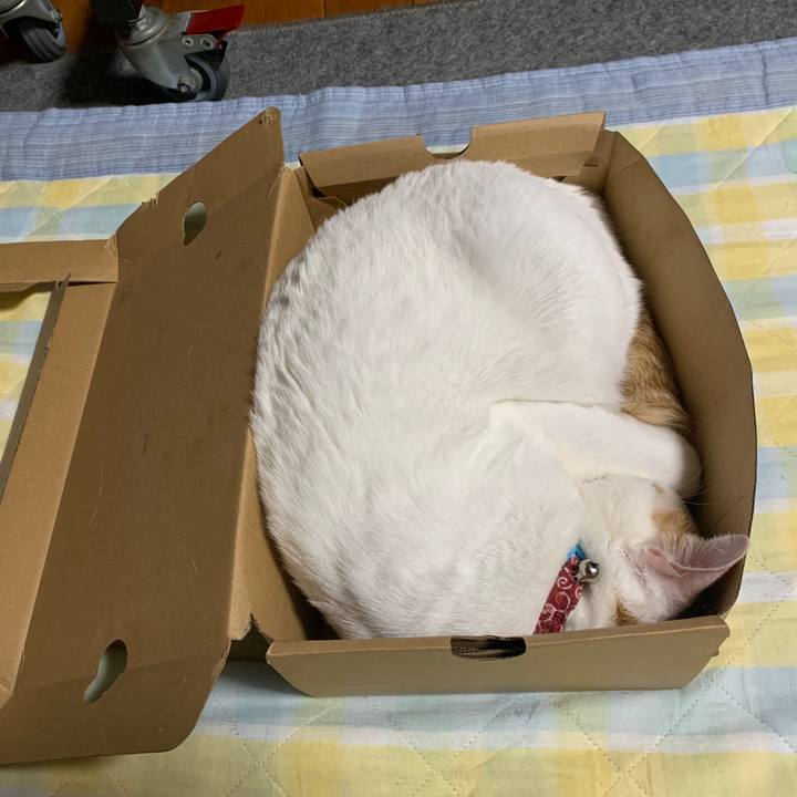 D36e45b1 dffa 40ea 820c ee4b19773610 1558201463454