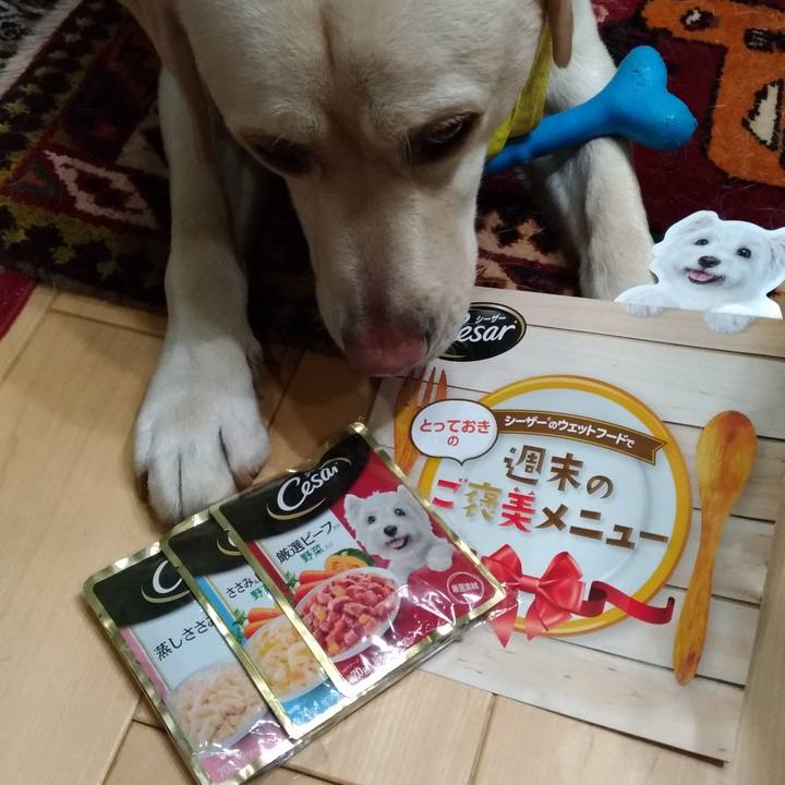 D36e6522 d011 42ca 8248 773a8375b663 1545219579095