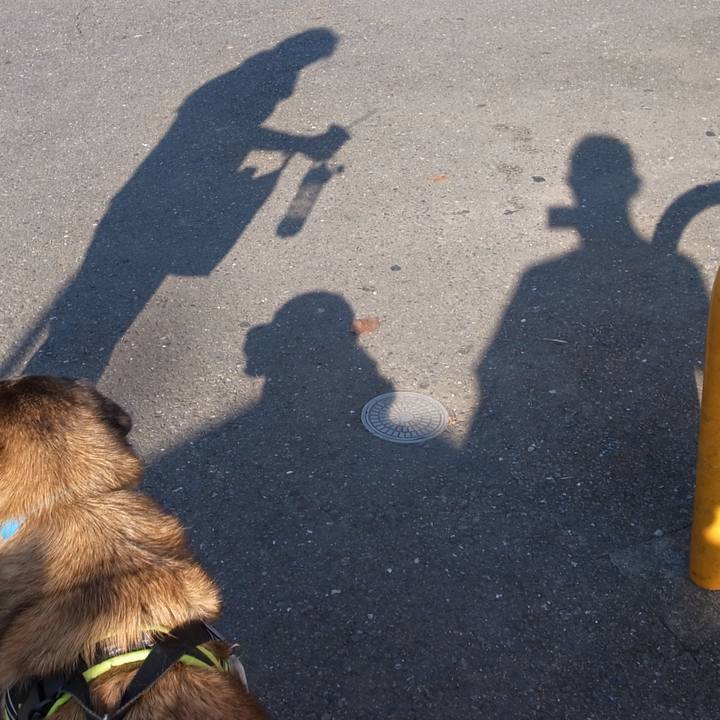 D36e6e80 7c19 4c41 9e97 d9a88cb39d57 1582705777292