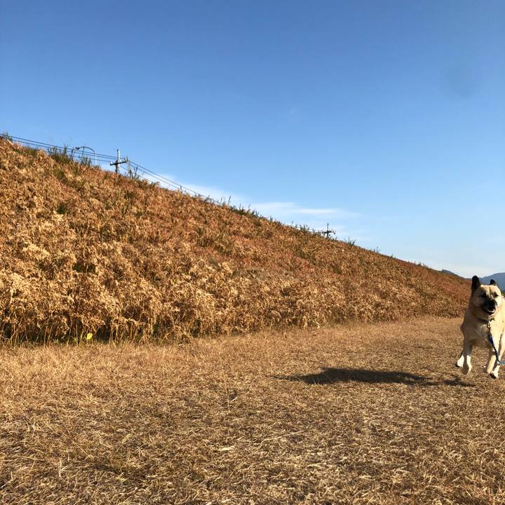 D36e76d4 fbb4 42e6 b74f a32bea03a696 1609061640686