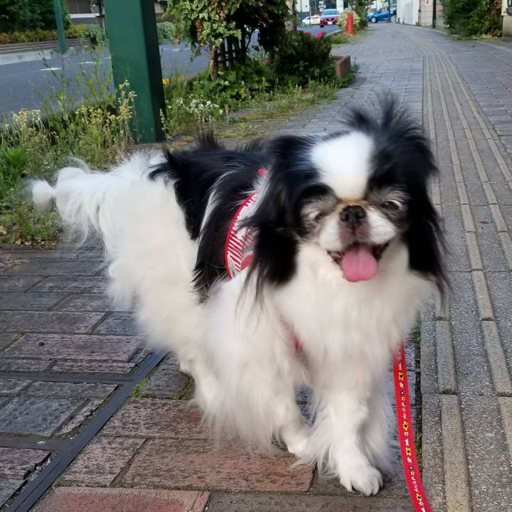 D36e8da6 ca20 4b29 8015 3292797dc731 1559461738511