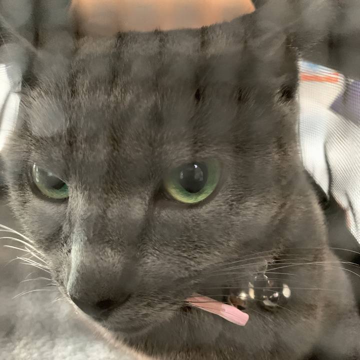 D36ec280 bf0b 4919 984e 054db13213a1 1569760518635