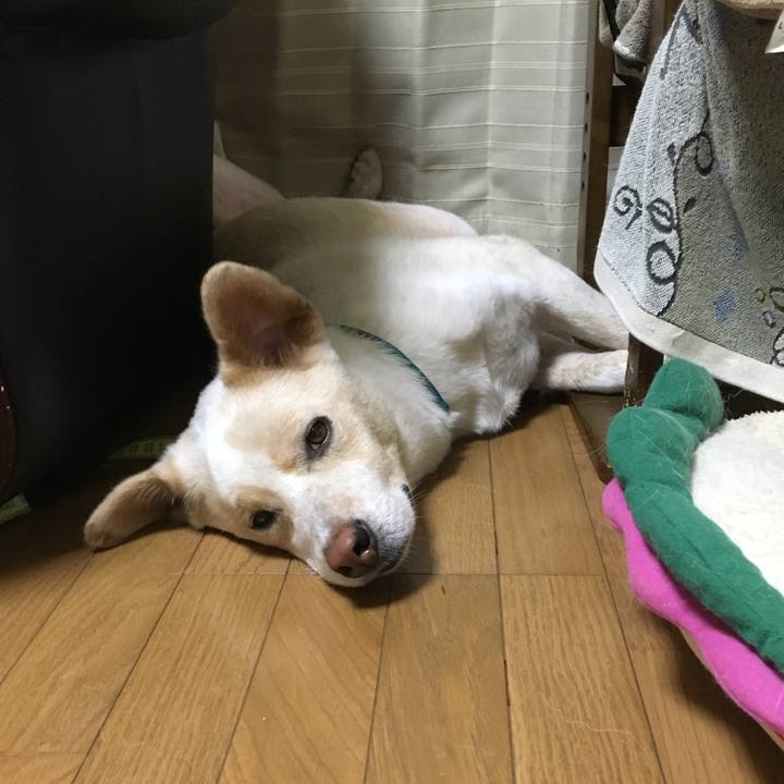 D36f3297 e721 4908 a748 0998631409d8 1530884919561