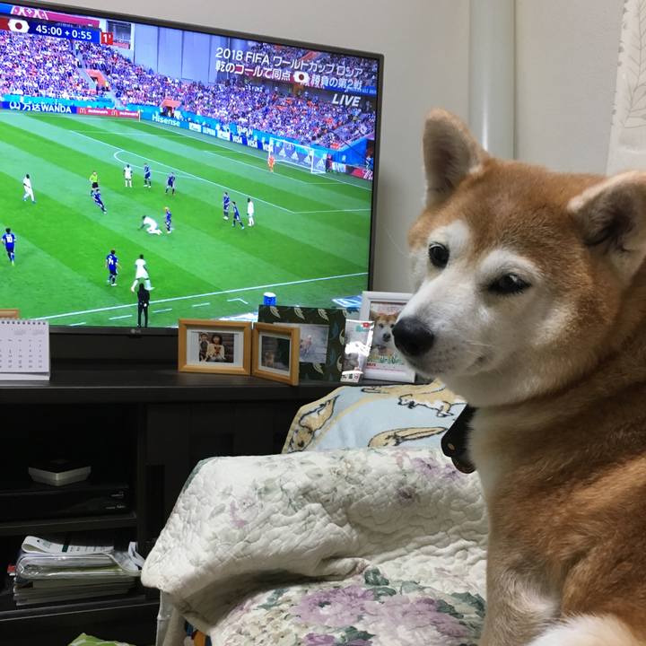 D36f39af 061f 425d af63 ae65baec961e 1529855571735