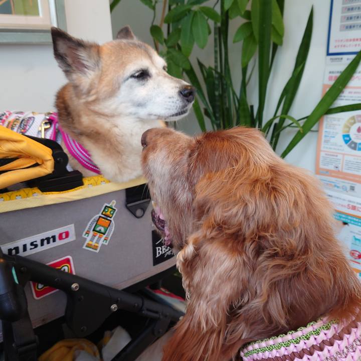 D36f56b7 3a0c 47b0 ab9d b2c8a8905f81 1719125146372