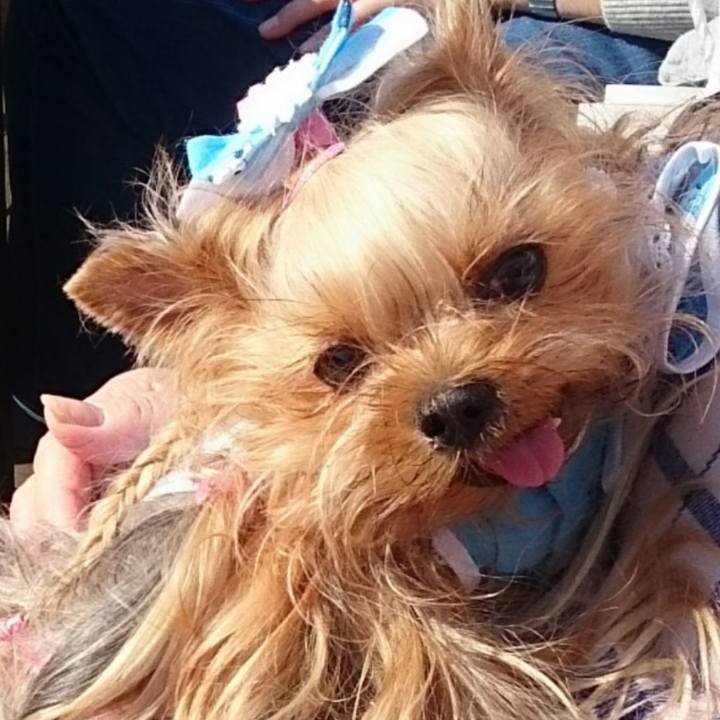 D36f6865 8ffb 4f00 859c 5869287dbf41 1598680086988