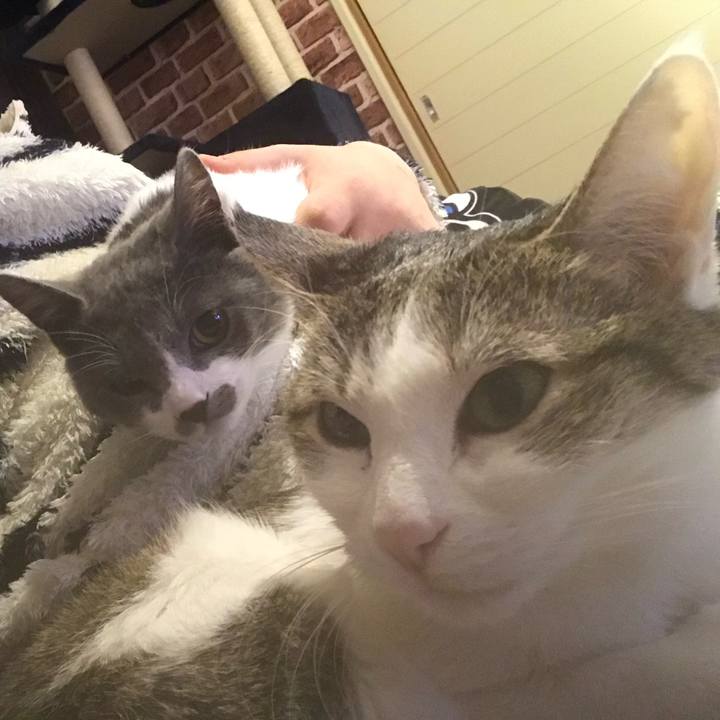 D36f8d3f 41d8 4d0c 913e 3927c6badfbf 1732622715471