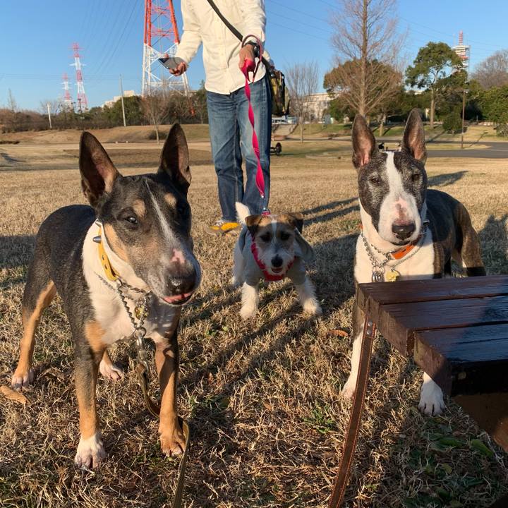 D36fae26 a9d0 4745 babc 9667a5d58205 1578055074417