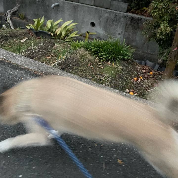 D36fb9e1 b9a6 46aa 9b56 e3f67d036a10 1673875531991