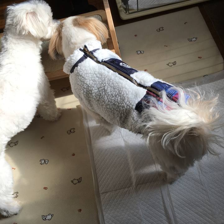 D36fe2ef d2c0 4881 9371 834765d9d868 1549087468831