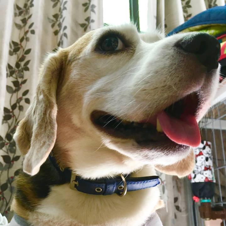 D36febd5 f501 469d 8e5f c095e602e355 1569381729381