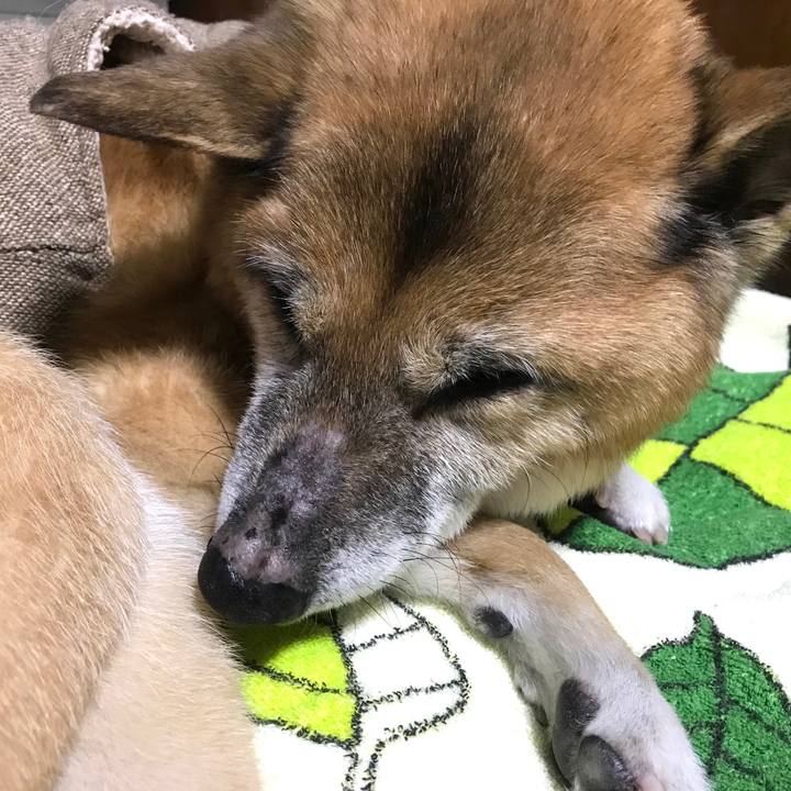 D37011fb cd4a 4c6e a008 cdc1f177d5e3 1550504452620