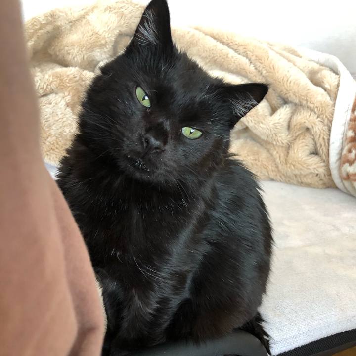 D3706d5f ded5 4dff 8080 9660b7a9aa24 1613890838918