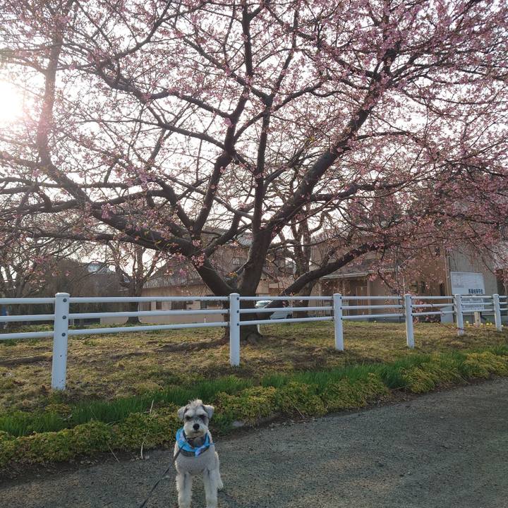 D370bec4 887a 4026 9f20 900c06bef290 1774745838975