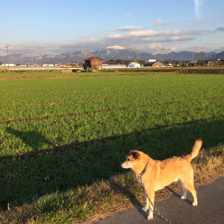 D370bf3d ef2f 4108 9c28 d269644eec21 1546946472459