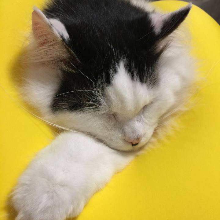 D370c04a 6003 4f36 b456 70f9524c3559 1512132646426