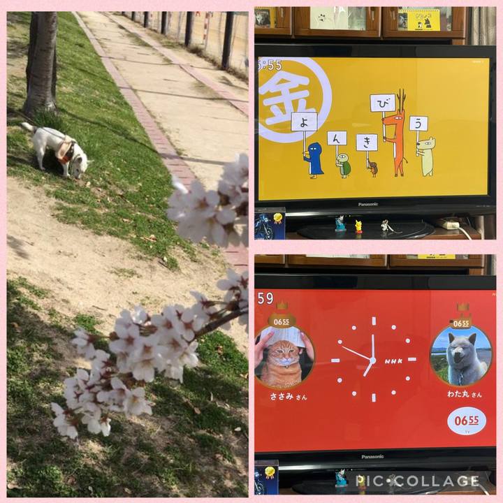 D370cd6f 8465 426c 9b01 b662951437e5 1775167389773