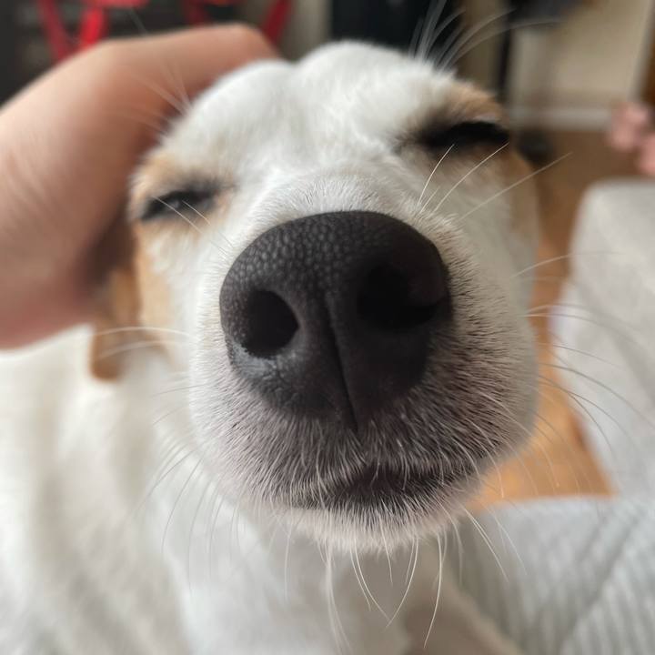 D370cdaa f38e 4938 8ff0 7bff83c7a4d6 1632298288120