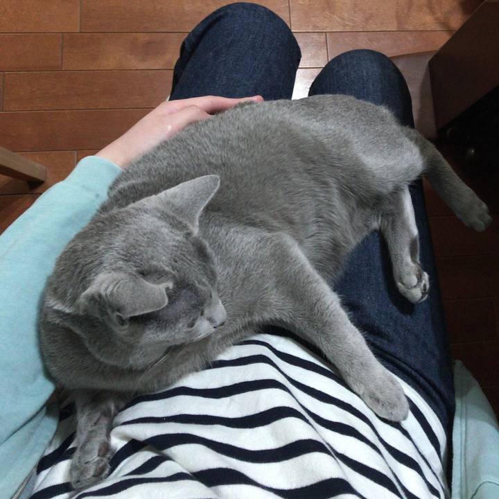 D370e74d 79e3 40fd b2bb 41e6c681d162 1523282825439