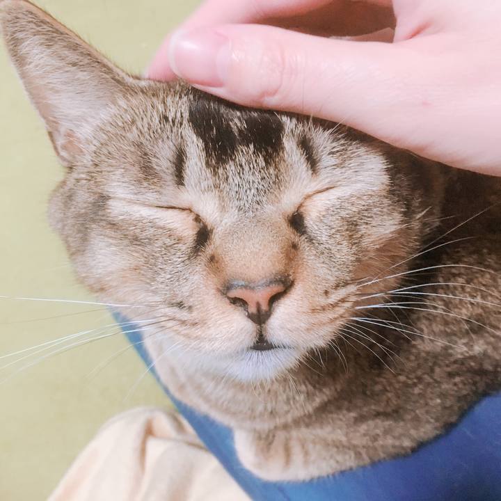 D370ed98 5dad 4e5e 81aa fac7663ac84a 1539161908550