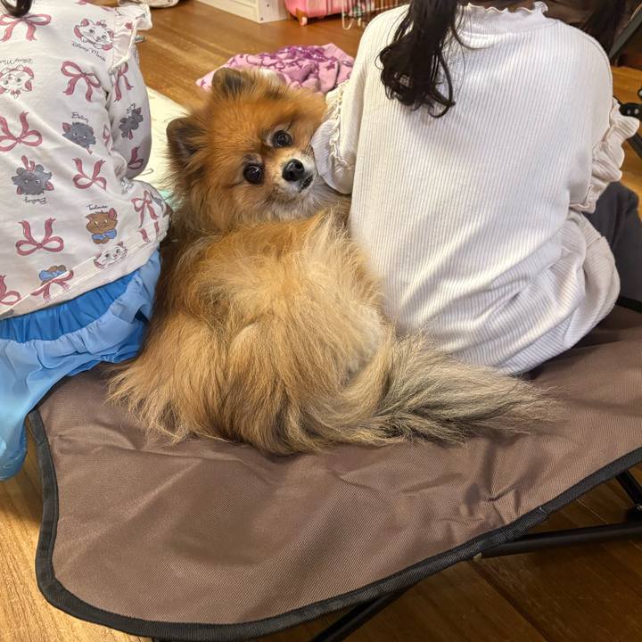 D370f288 2881 4dea bde6 a088d5568fe0 1774960541554