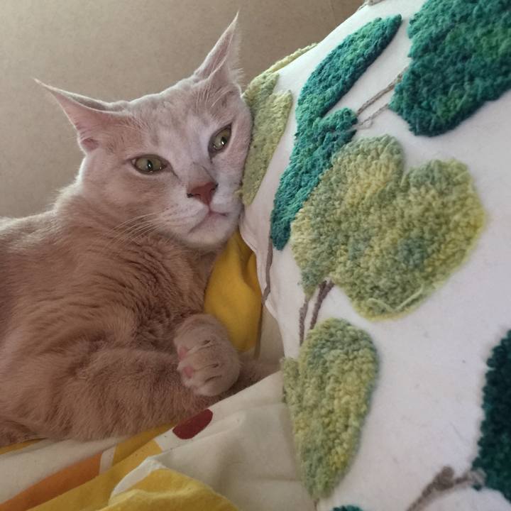 D370f46c 5fc3 4560 8719 459bf001a0ba 1581926041260