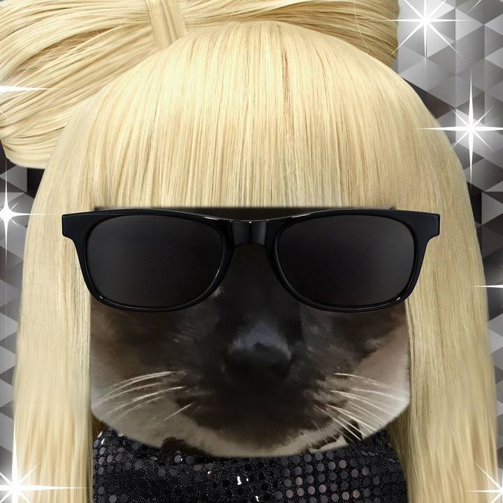 D371106d c2fa 4ff9 93f9 5e3498c5d9a4 1515809235410